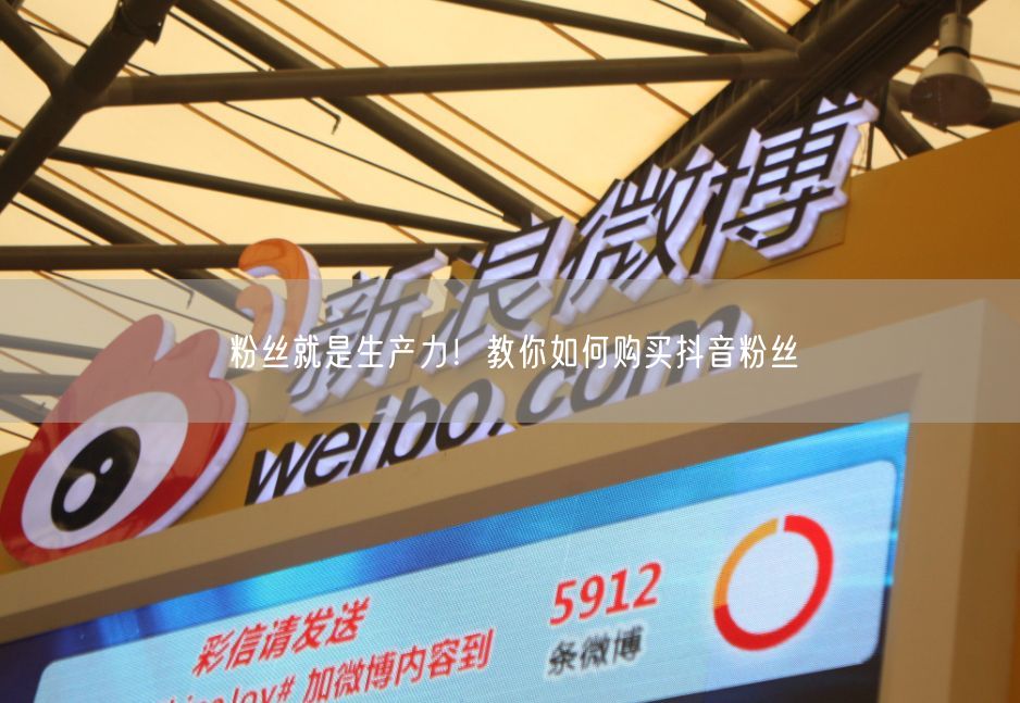 粉丝就是生产力！教你如何购买抖音粉丝