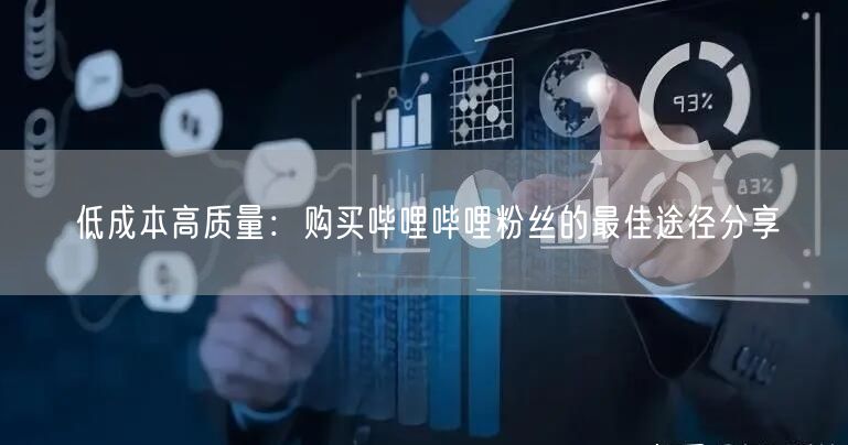 低成本高质量：购买哔哩哔哩粉丝的最佳途径分享