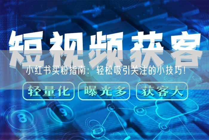 小红书买粉指南：轻松吸引关注的小技巧！