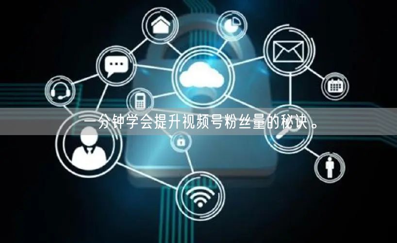 一分钟学会提升视频号粉丝量的秘诀。