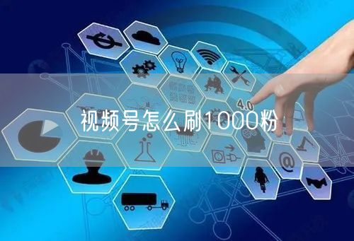 视频号怎么刷1000粉