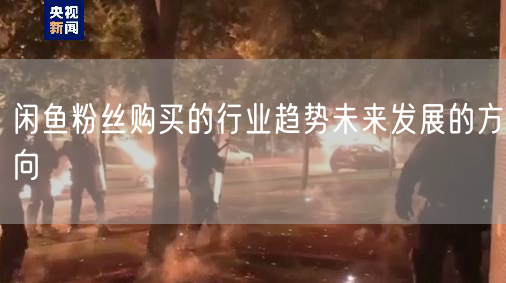 闲鱼粉丝购买的行业趋势未来发展的方向