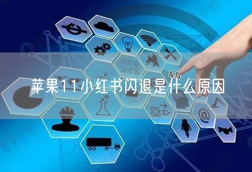 苹果11小红书闪退是什么原因