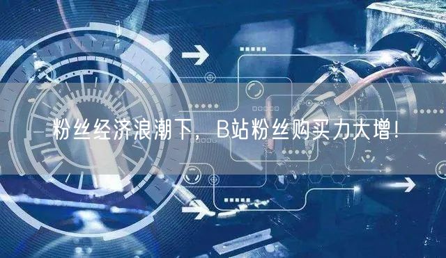 粉丝经济浪潮下，B站粉丝购买力大增！